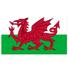 威尔士女足U19